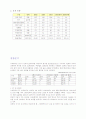 스리랑카(인도주변국)의 IT산업에 대한 현황 분석 및 한국기업의 진출 전략 6페이지