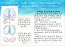 세포 내 정보전달에 관여하는 다양한 factor[cAMP,cGMP,Ras,Raf,MAP,PLC]의 종류와 역할[특급] 6페이지