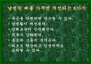 성공적인 다이어트를 위한 여러가지 방법들 2페이지