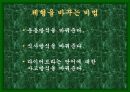성공적인 다이어트를 위한 여러가지 방법들 5페이지