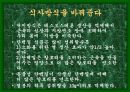 성공적인 다이어트를 위한 여러가지 방법들 7페이지