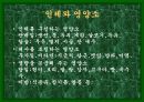 성공적인 다이어트를 위한 여러가지 방법들 10페이지