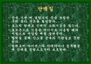 성공적인 다이어트를 위한 여러가지 방법들 11페이지