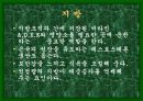 성공적인 다이어트를 위한 여러가지 방법들 13페이지
