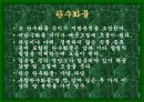 성공적인 다이어트를 위한 여러가지 방법들 16페이지