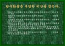 성공적인 다이어트를 위한 여러가지 방법들 17페이지