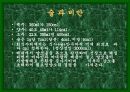 성공적인 다이어트를 위한 여러가지 방법들 19페이지