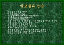 성공적인 다이어트를 위한 여러가지 방법들 20페이지