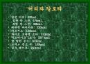 성공적인 다이어트를 위한 여러가지 방법들 21페이지