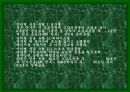 성공적인 다이어트를 위한 여러가지 방법들 40페이지
