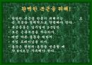 성공적인 다이어트를 위한 여러가지 방법들 41페이지