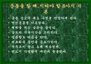 성공적인 다이어트를 위한 여러가지 방법들 44페이지