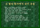 성공적인 다이어트를 위한 여러가지 방법들 46페이지