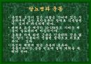 성공적인 다이어트를 위한 여러가지 방법들 47페이지