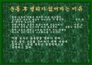 성공적인 다이어트를 위한 여러가지 방법들 50페이지