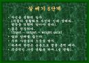 성공적인 다이어트를 위한 여러가지 방법들 54페이지