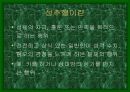 성폭력 성희롱이란 무엇인가? 8페이지