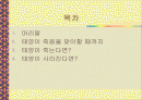 태양의 중요성 2페이지
