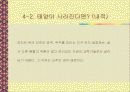 태양의 중요성 13페이지
