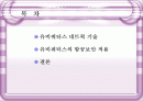유비쿼터스 항공 보안 2페이지