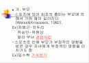 스포츠와 사회화 9페이지