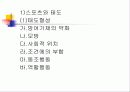 스포츠와 사회화 17페이지
