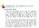 여가문화 10페이지