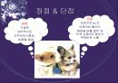 전자상거래 7페이지