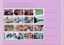 마케팅 사례조사(롯데 자일리톨껌) 13페이지