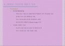 마케팅 사례조사(롯데 자일리톨껌) 14페이지