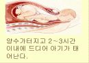 분만의 징후 7페이지