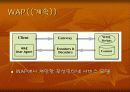 무선인터넷의 응용분야 11페이지
