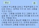 남성의 생식기와 정자의 기능 5페이지