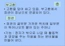 남성의 생식기와 정자의 기능 6페이지