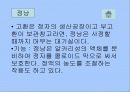 남성의 생식기와 정자의 기능 7페이지