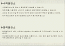 여러 발전소가 환경에 미치는 영향 2페이지