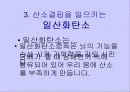 흡연과 알코올의 피해 7페이지