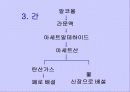 흡연과 알코올의 피해 27페이지