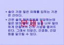흡연과 알코올의 피해 33페이지