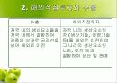 해외직접투자 5페이지