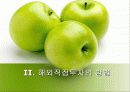 해외직접투자 12페이지