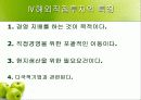 해외직접투자 17페이지