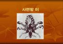 성인성 질환과 에이즈 8페이지