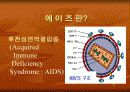 성인성 질환과 에이즈 11페이지