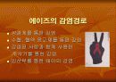 성인성 질환과 에이즈 12페이지