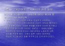 고령자고용법 찬성입장 10페이지