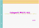 Collagen의 특성과 용도 1페이지
