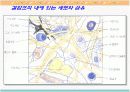 Collagen의 특성과 용도 4페이지