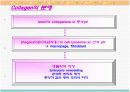 Collagen의 특성과 용도 9페이지