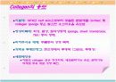 Collagen의 특성과 용도 10페이지